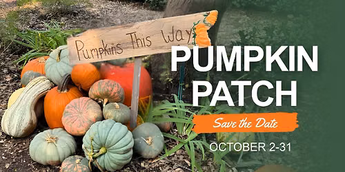 Pumpkin Patch