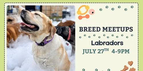 \ud83d\udc3e Labrador Meetup! \ud83d\udc3e