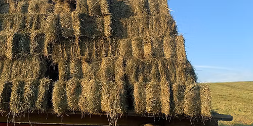 Trailer Loading Clinic (horses not hay haha)