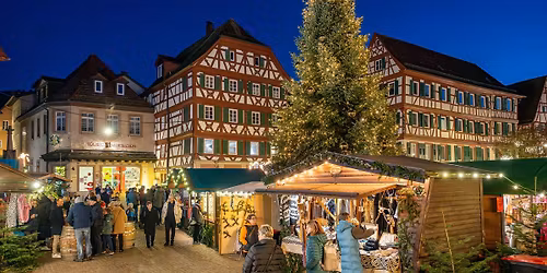 Mosbacher Weihnachtsmarkt 2025
