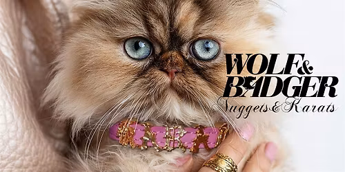 Nuggets & Karats: Nuggyz Collection Launch - Elevate Pet Fashion!