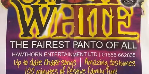 Christmas panto
