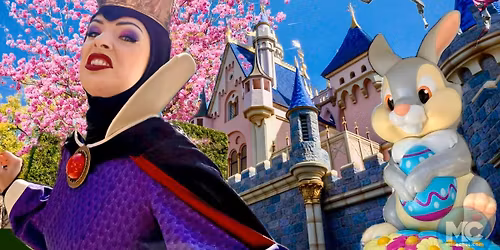 Parking The Queens Cartoonist