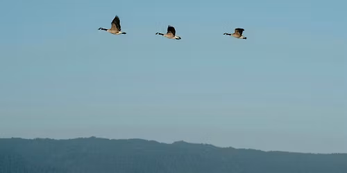 Stand By Me Training