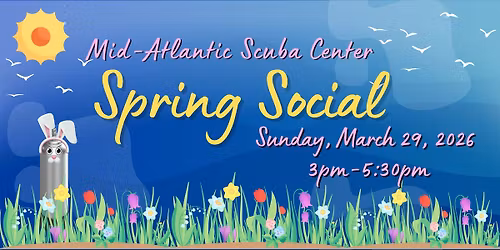 Spring Social