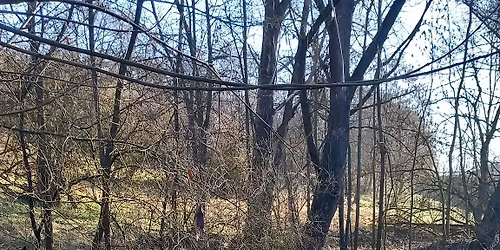 Klangstrom \u2013 l\u00e9\u010div\u00fd zn\u011bj\u00edc\u00ed proud