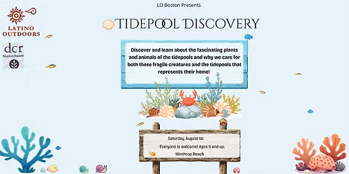LO Boston | Tidepool Discovery