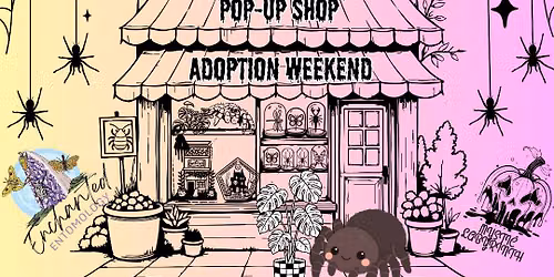 Jumping Spider Adoption Weekend w\/ Mystic Labyrinth
