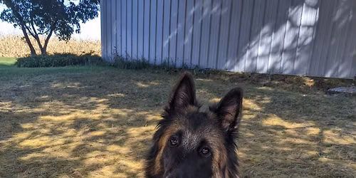 June Obedience Match