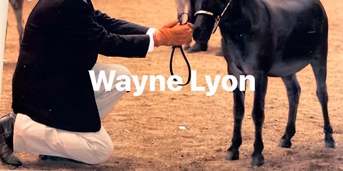 Honky Tonk Miniature Donkey Extravaganza