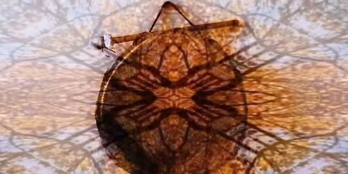 Cercle de chant en \u00e9cho !