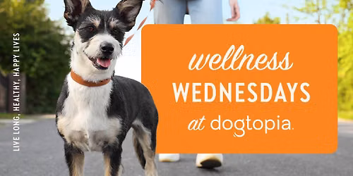 Wellness Wednesday