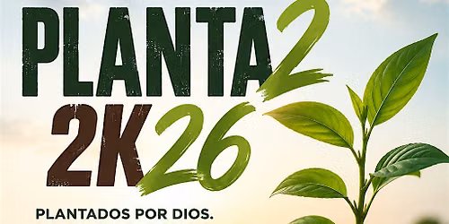 PLANTADOS 2026
