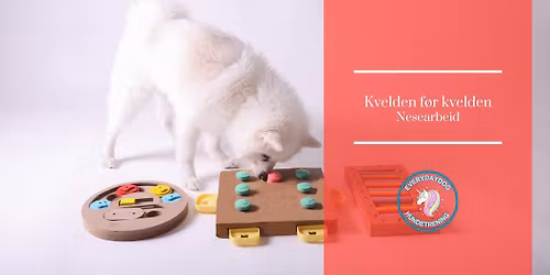 Kvelden f\u00f8r kvelden - Nesearbeid