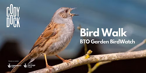 Bird Walk - BTO Garden BirdWatch