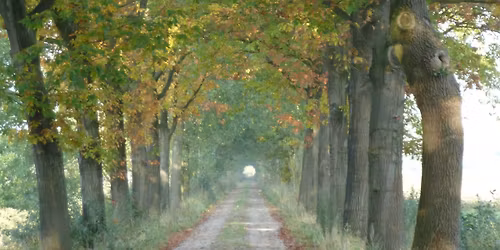 Herfstwandelweekend zaterdag 11- en zondag 12 oktober