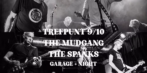 GARAGE + NIGHT - THE MUDGANG - THE SPANKS