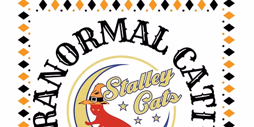 Purr-a-normal Cativity