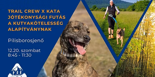 RunCrew x Kata - Kuty\u00e1s k\u00f6z\u00f6ss\u00e9gi fut\u00e1s a Kutyak\u00f6teless\u00e9g Alap\u00edtv\u00e1ny\u00e9rt! <3