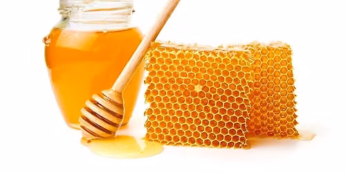 Honey Tasting and Madeline Cakes