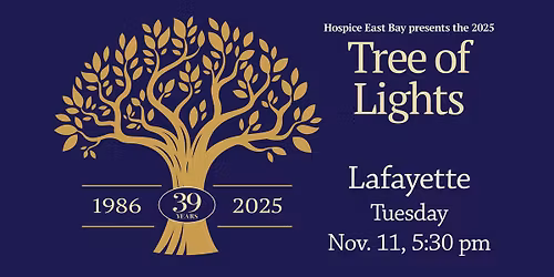 Tree of Lights 2025 - Lafayette