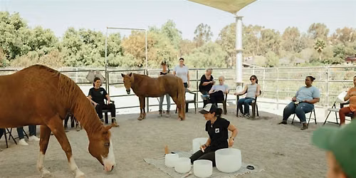 Sound Healing & Mindfulness With Horses
