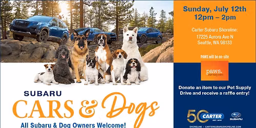 Cars & Dogs