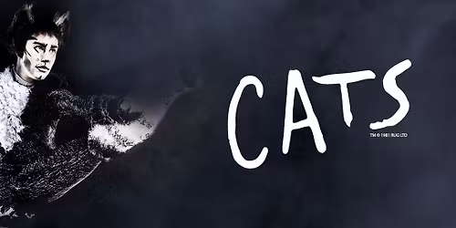Cats - The Musical at Berkeley Playhouse