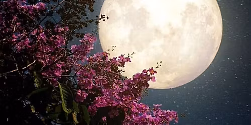 THE full moon ceremony