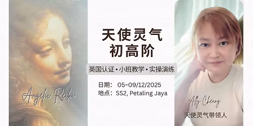 \u5929\u4f7f\u7075\u6c14\u521d\u9ad8\u9636\uff084.5\u5929\uff09\u5de5\u4f5c\u574a