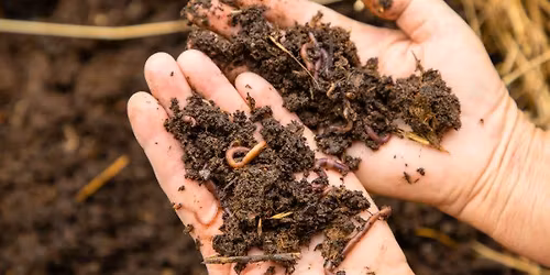 Workshop: Vermicompost Bins