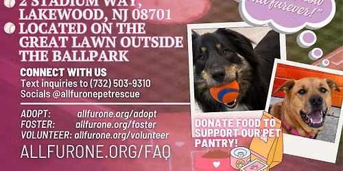 Bark in the Park- Pet Adoption Day!