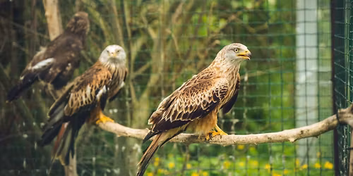 P\u0159edn\u00e1\u0161ka o prevenci environment\u00e1ln\u00ed kriminality a velk\u00fdch \u0161elm\u00e1ch