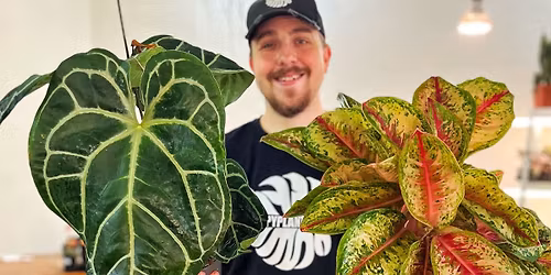 V\u00fdstava kv\u011btin 