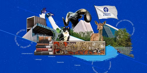 \u2b50\ufe0f Regreso a Casa 45, 50, 55, 60 y m\u00e1s aniversarios