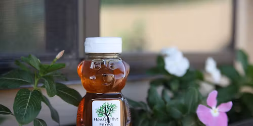 Honey Tasting at Honey Hive Farms \/ Arizona Honey
