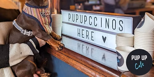 Bristol - Dachshund Pup Up Cafe \u2600\ufe0f