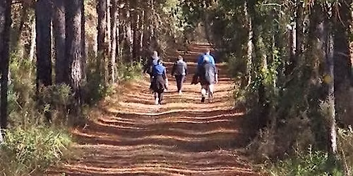 Park Explorers 6-Week Walking Program