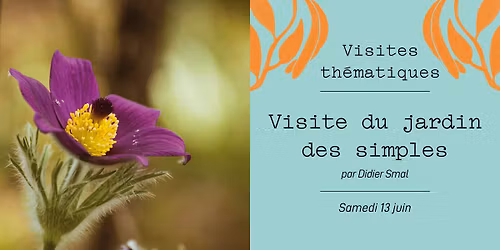 Visite du jardin des simples