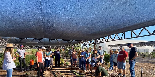 Intro to Gardening