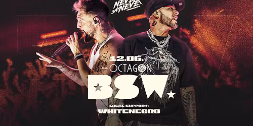 NEVER SAY NEVER presents BSW | 12.06. | Club Octagon