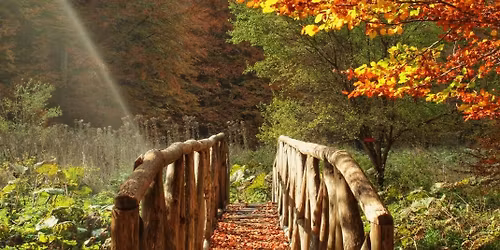 \ud83d\udca5" \u03a0\u0391\u0399\u039a\u039f - \u039a\u0391\u0398\u0391\u03a1\u0397 \u0394\u0395\u03a5\u03a4\u0395\u03a1\u0391"\ud83d\udca5