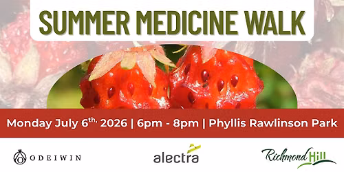 Summer Medicine Walk \u2013 Season of the Wild Strawberry | Richmond Hill