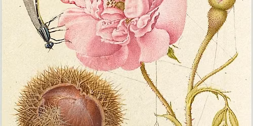 Alkemie ~ Florilegium A Botanical Bouquet