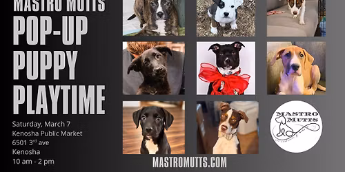 Pop-Up Puppy Playtime at the Kenosha Public Market