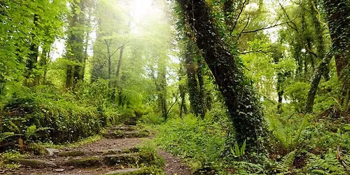 Master Woodland Steward Program