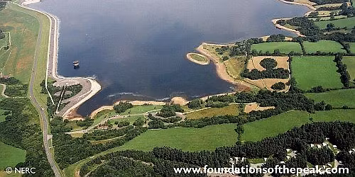 Talk: Birds and Islands; David Parkin