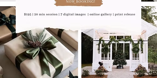 Greenhouse Christmas Minis