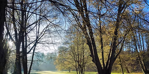 Schlosspark K\u00f6nigsbr\u00fcck - Tag der Parks und G\u00e4rten