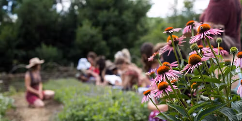 HOME HERBAL APPRENTICESHIP Weekend 1 of 5